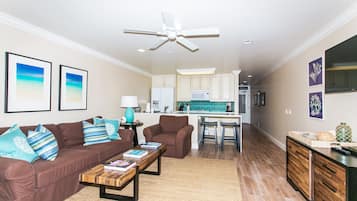 TV, fireplace, DVD player