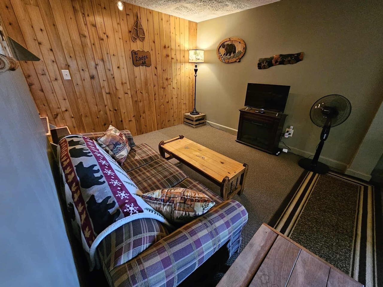 Smart TV, fireplace, books