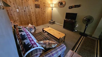 Smart TV, fireplace, books