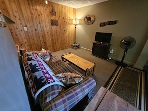 Una Smart TV, una chimenea, libros