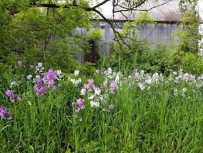 Property grounds - Country Lodge | Hot Tub • Private Waterfalls • Scenic Views • Farm Stay • Pond (Lafayette)