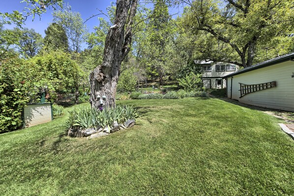 A well-maintained lawn with a large tree and a house in the background.