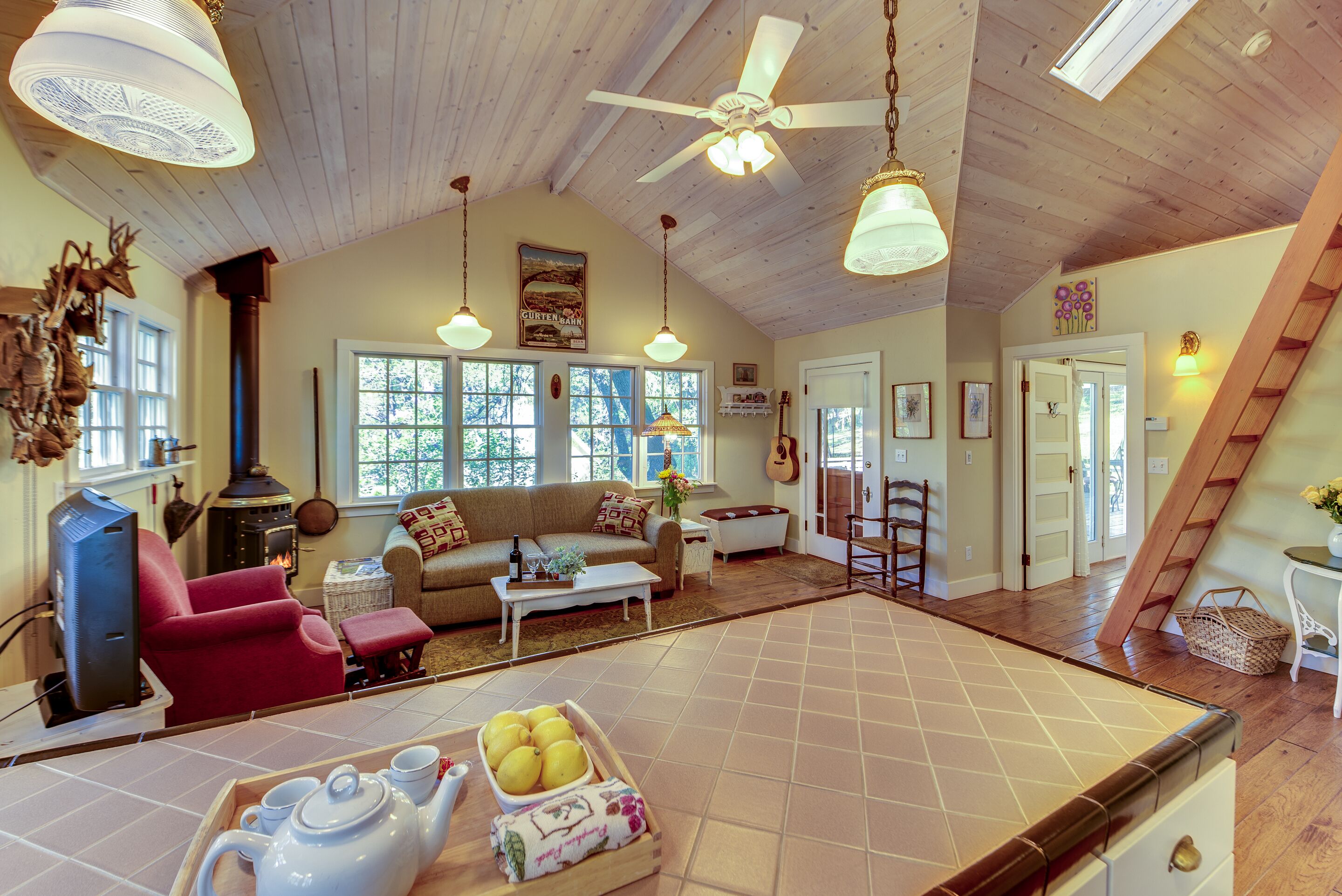 Télévision, cheminée, livres, chaîne hi-fi