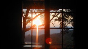 Ein Fenster mit Blick auf einen Sonnenuntergang über einem Gewässer, umrahmt von Bäumen.