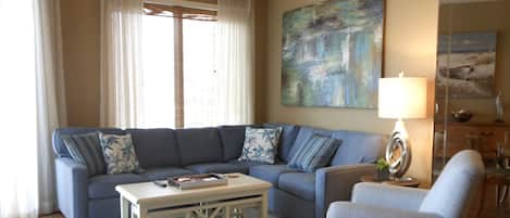 Televisión, reproductor de DVD, libros y videoteca