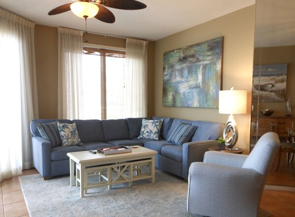 TV, DVD player, books, video library