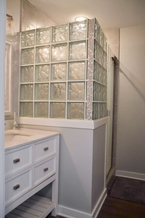 Combined shower/tub, hair dryer