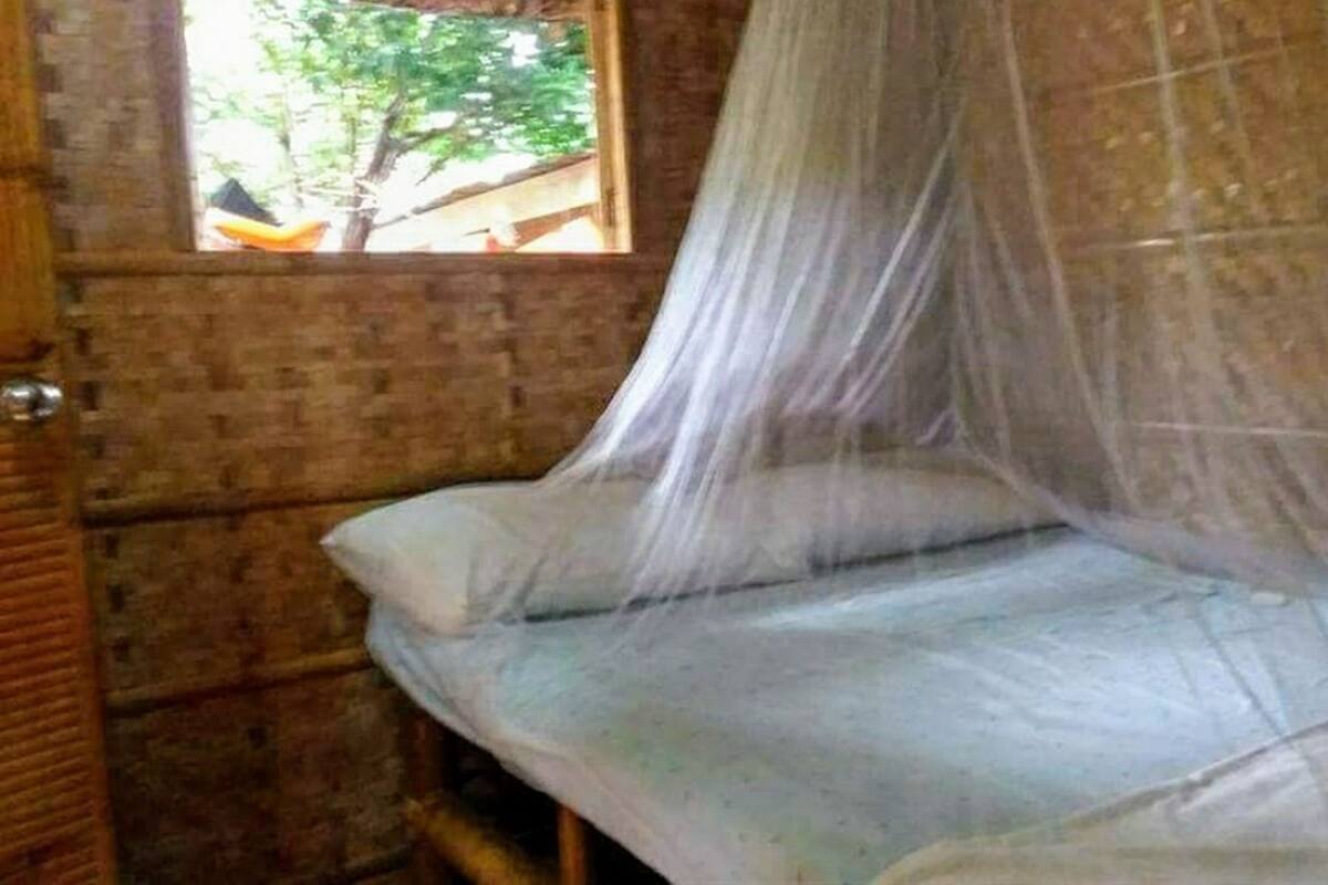 A room with a bed covered by a mosquito net, a window with a view of trees, and a brick wall.