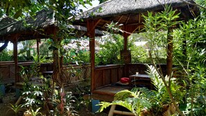 Vista al jardín