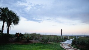 Un camí que condueix a una platja amb palmeres i una zona verda.