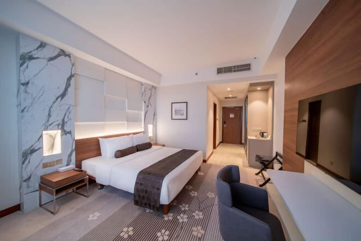Literie de qualité supérieure, couette en duvet d'oie, minibar