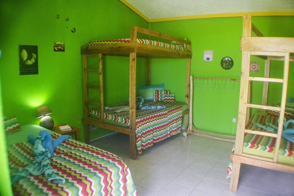 Una habitación con dos literas, una mesita con lámpara y un reloj de pared.