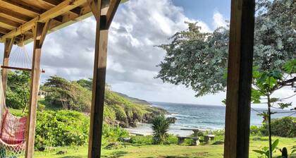 Go Natural Jamaica Retreats