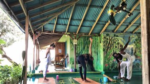 Un estudio de yoga con techo de madera, paredes verdes con un mural y suelo verde con un diseño geométrico.