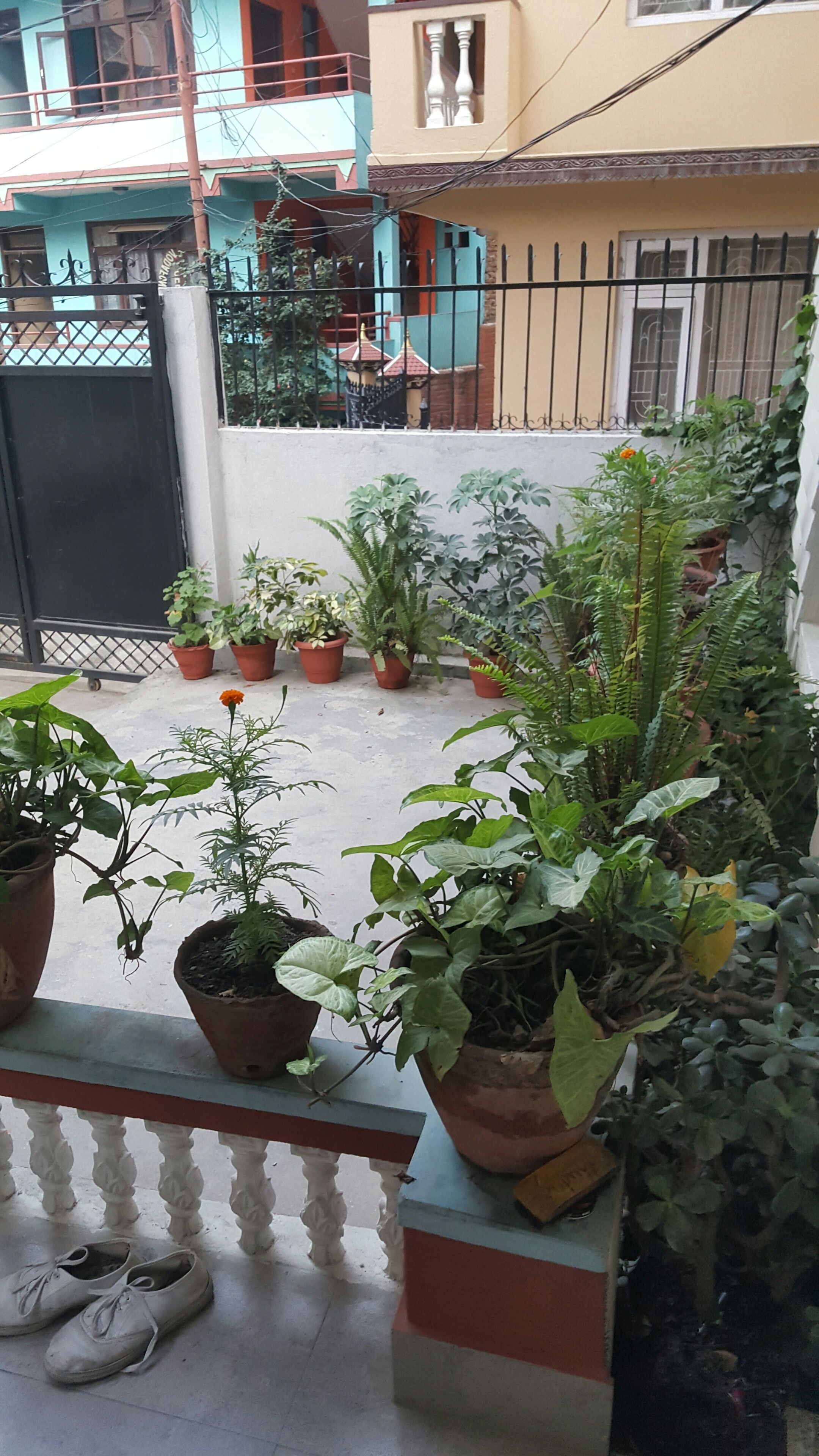 Photo - BnB Royal Tourist House