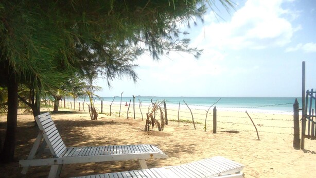Twee witte lounge stoelen onder een boom op een zanderig strand, met een hek en uitzicht op de oceaan.
