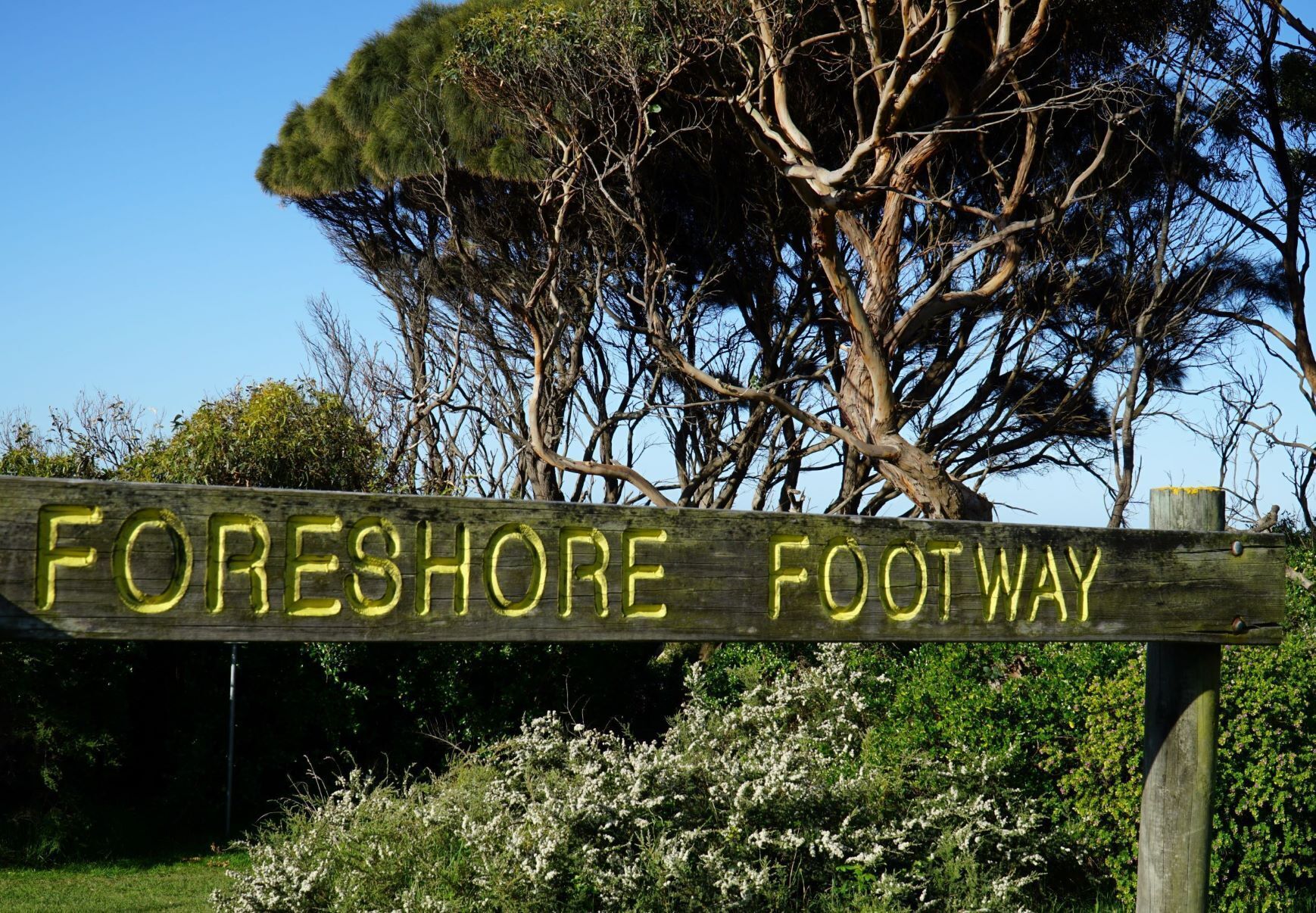 Cod Rock Point — image 11