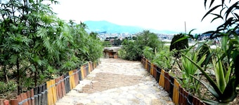 Green Eco Resort