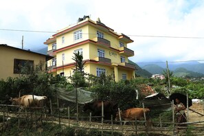 Un edificio amarillo de varios pisos con balcones, rodeado por una zona cercada con vacas.