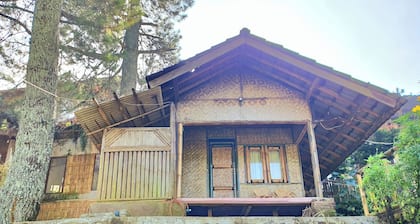 Ciwidey Jungle Villa