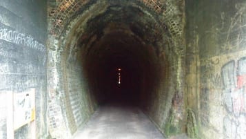 Ein Tunnel mit Ziegelwänden und Graffiti.