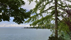 A bench by a lake with a stone pathway, surrounded by trees.