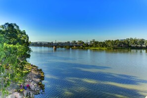 A calm river with a bridge in the background, surrounded by greenery and trees.