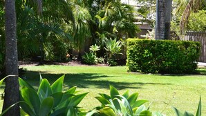 A well-maintained garden with various tropical plants and a neatly trimmed hedge. - Rockhampton Riverside Central Hotel (Rockhampton)