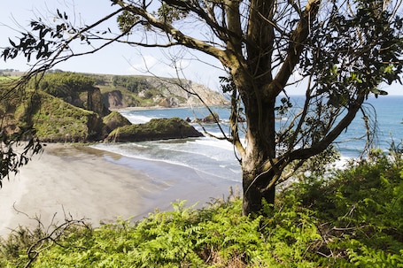 Vista desde la propiedad