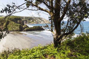 A coastal landscape with a beach, cliffs, and a tree in the foreground.