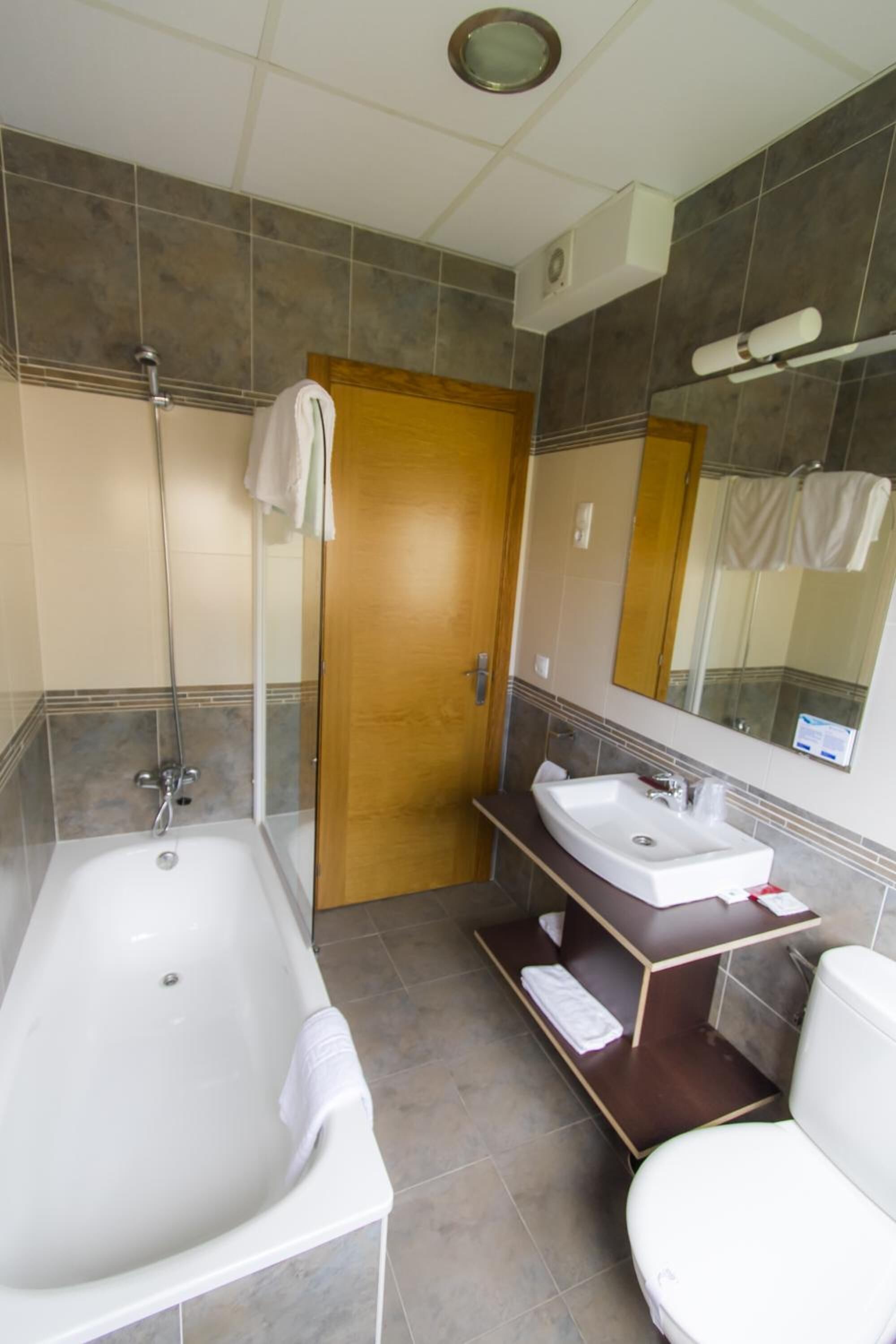 combined shower/bathtub, free toiletries, hair dryer, bidet