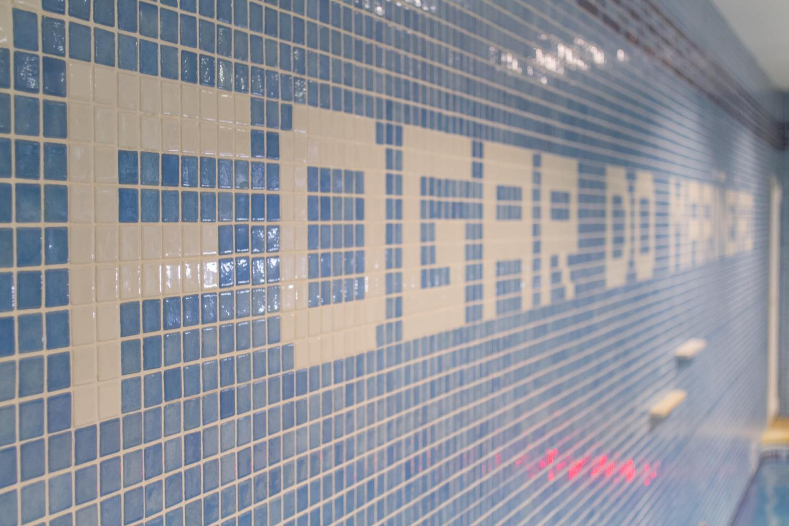 combined shower/bathtub, free toiletries, hair dryer, bidet