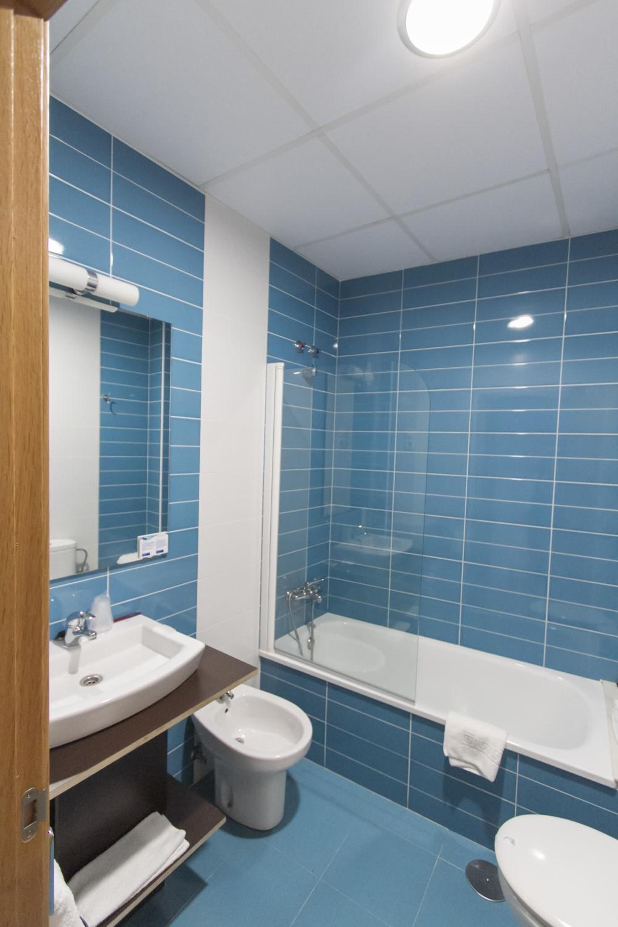 combined shower/bathtub, free toiletries, hair dryer, bidet