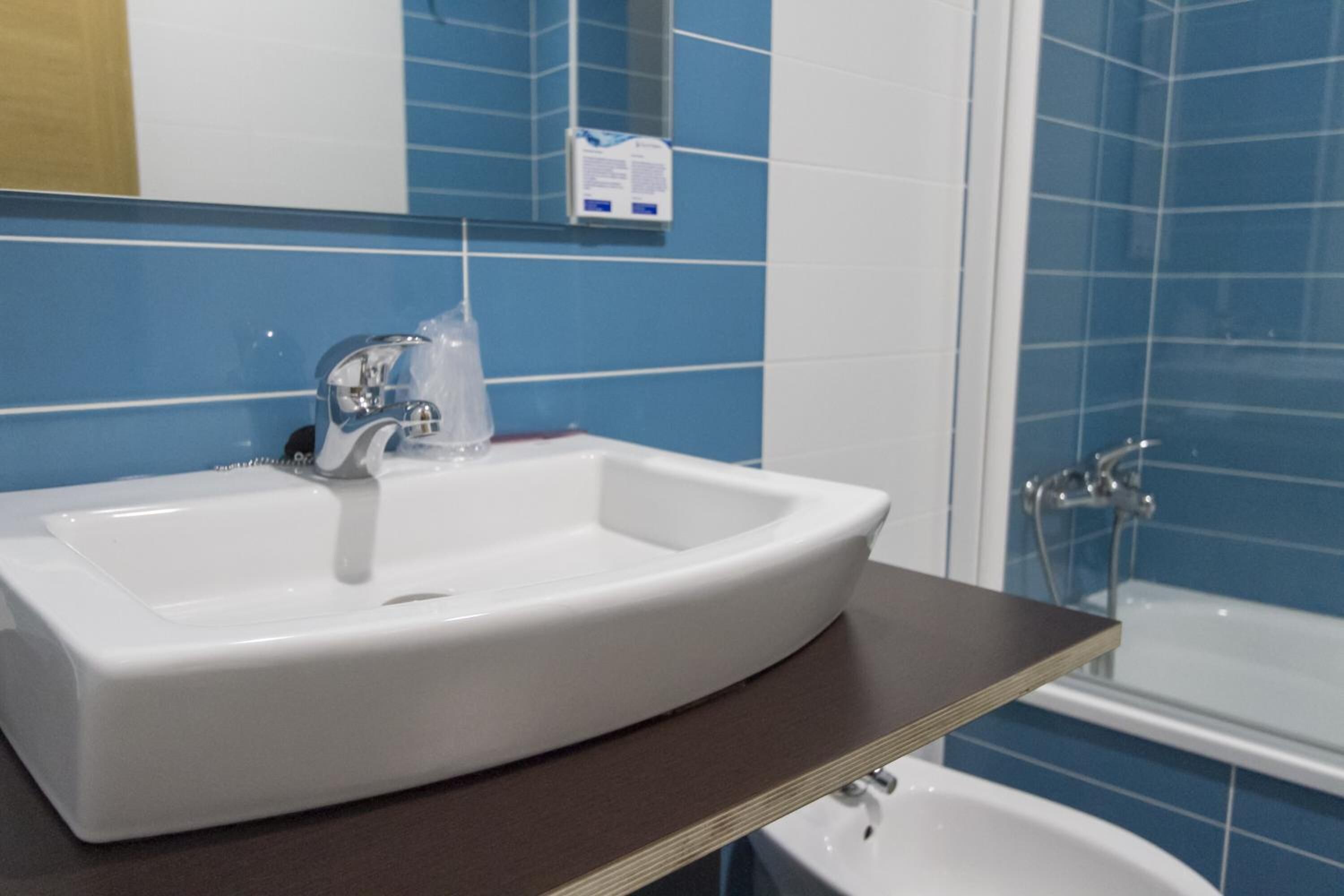 combined shower/bathtub, free toiletries, hair dryer, bidet