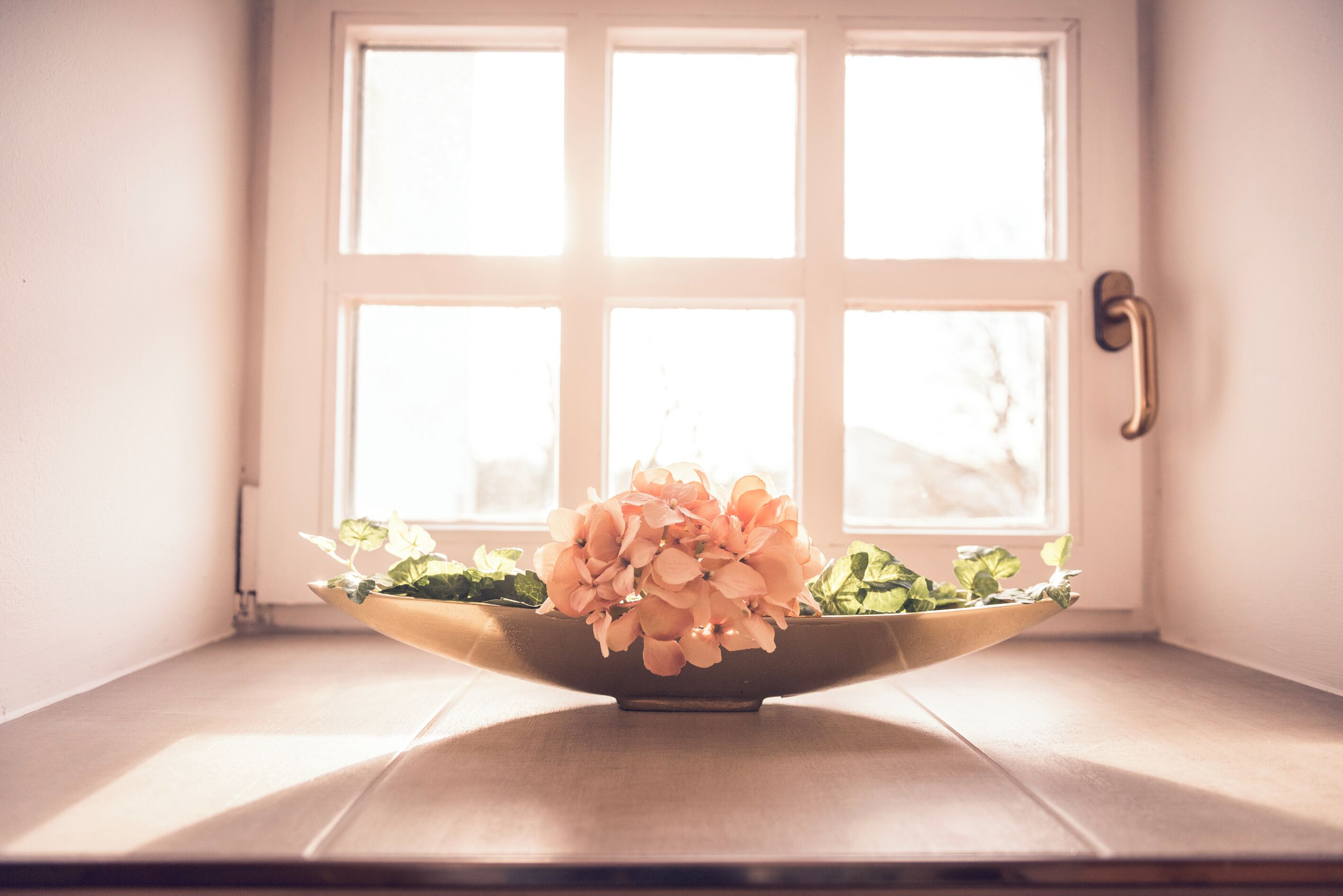 A window sill with a bowl containing flowers and greenery.