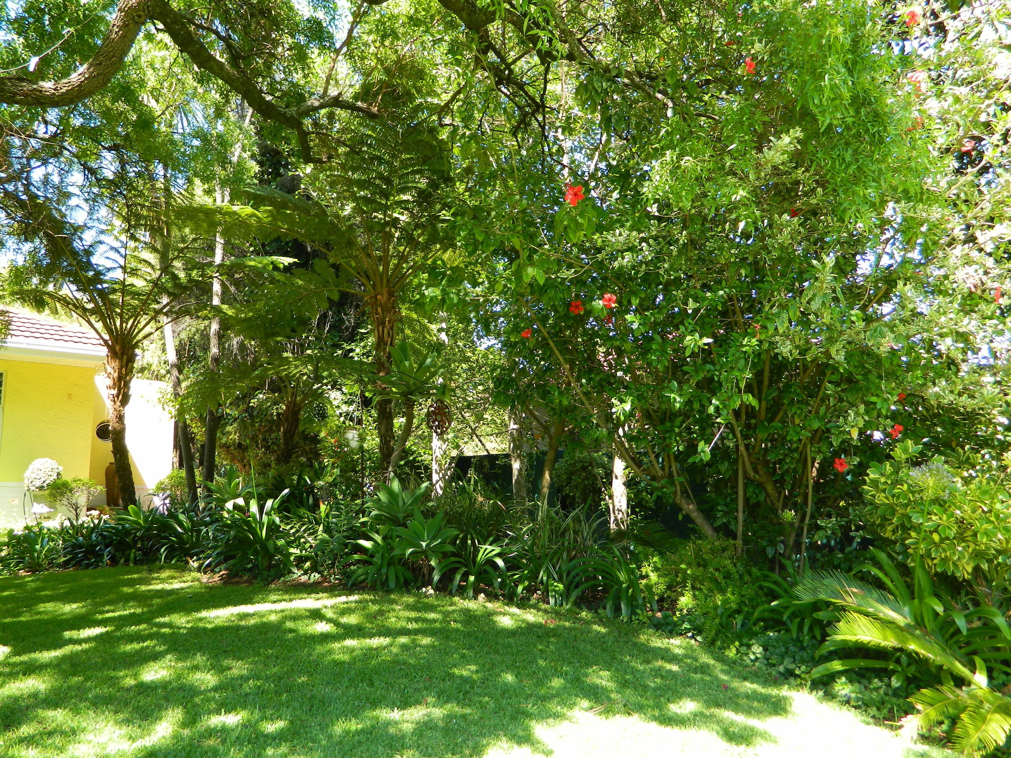 Phòng Suite Elite, 1 giường cỡ queen | 1 phòng ngủ, bộ đồ giường cao cấp, két bảo mật tại phòng 