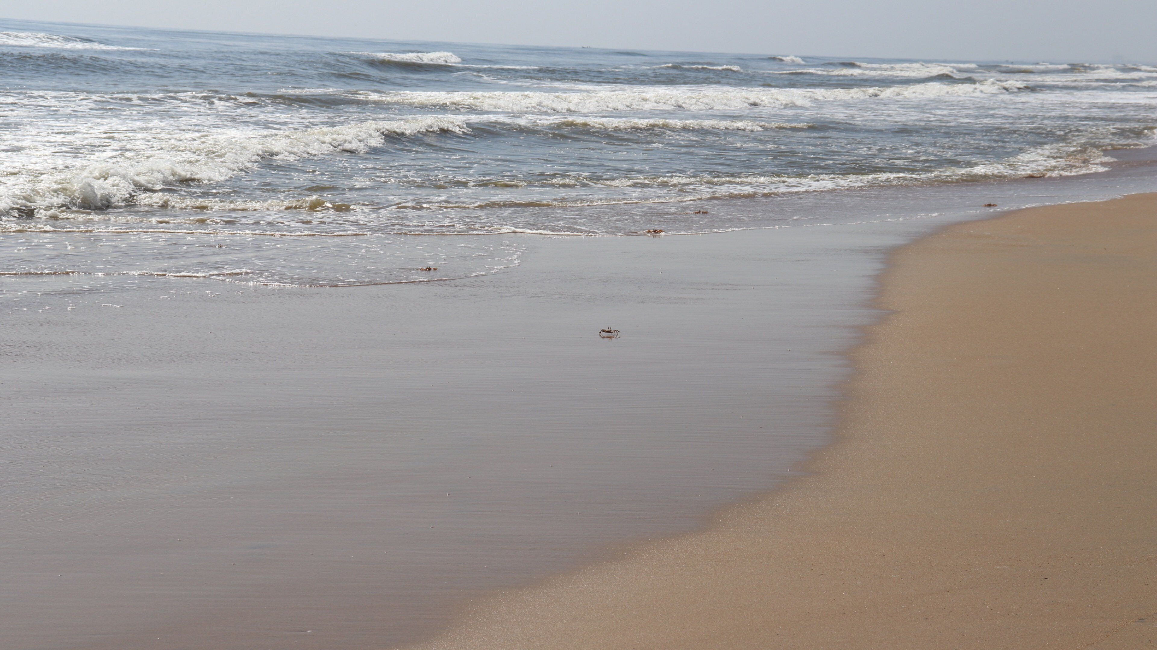 A beach with waves approaching the shore, a sandy beach, and a clear sky.