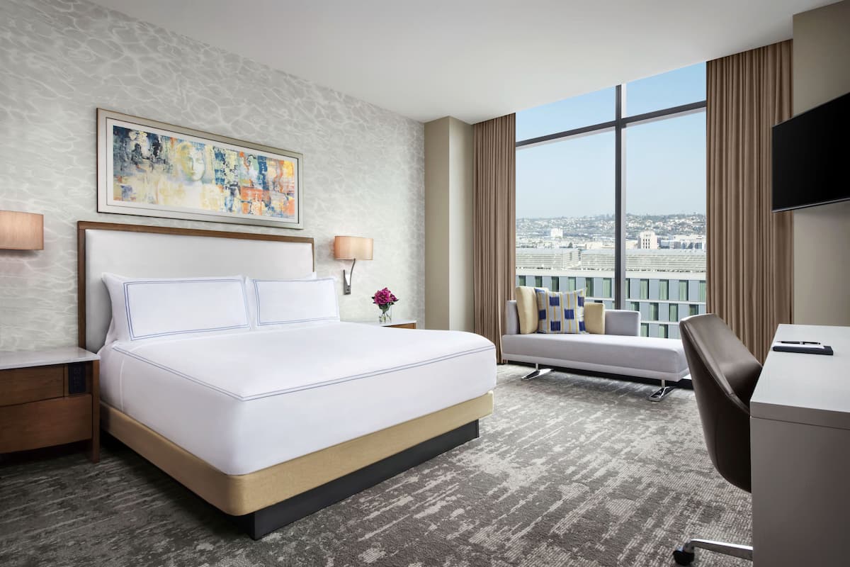 A hotel room with a large bed, a desk, a chair, a TV, and a view of the city.