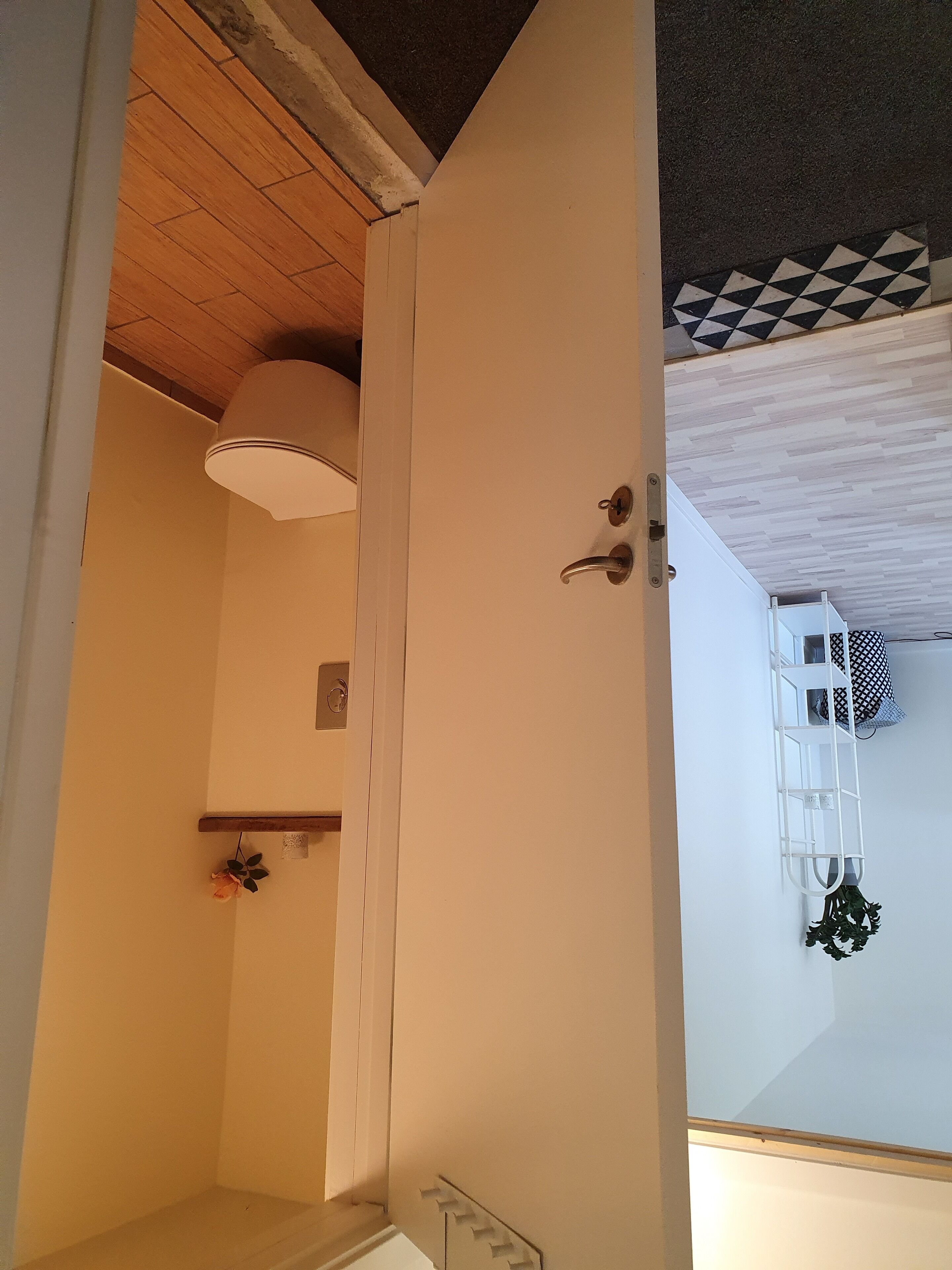Un pasillo con una puerta blanca, una lámpara en el techo, un pequeño estante con una planta y un techo con diseño.