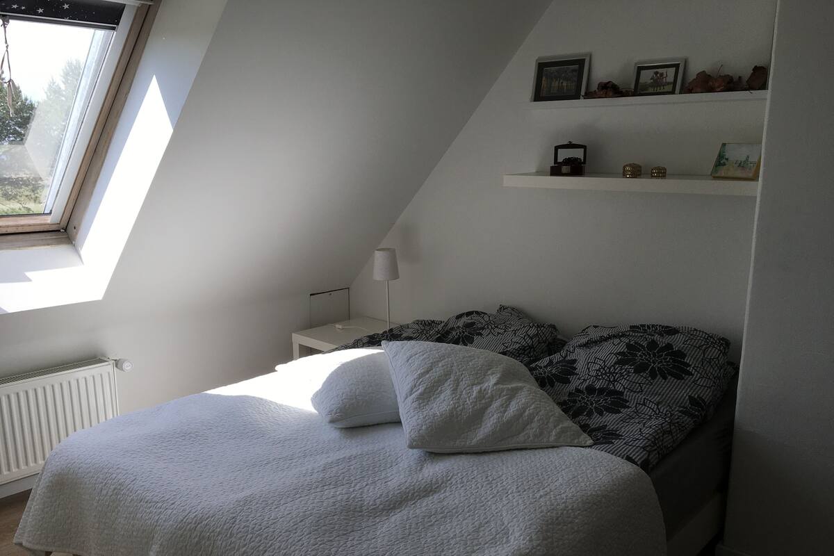 Basic Apartment
