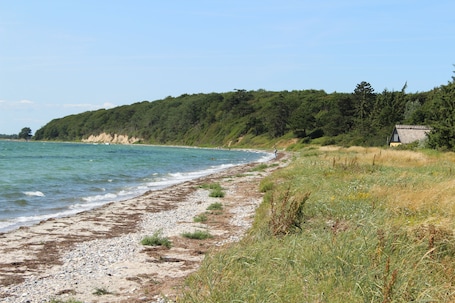 Beach. Quistgaarden Bed & Breakfast