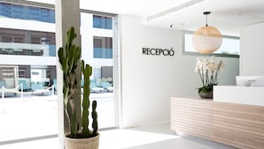 Un área de recepción moderna con una planta de cactus, un mostrador de recepción y un amplio ventanal con vistas al exterior.
