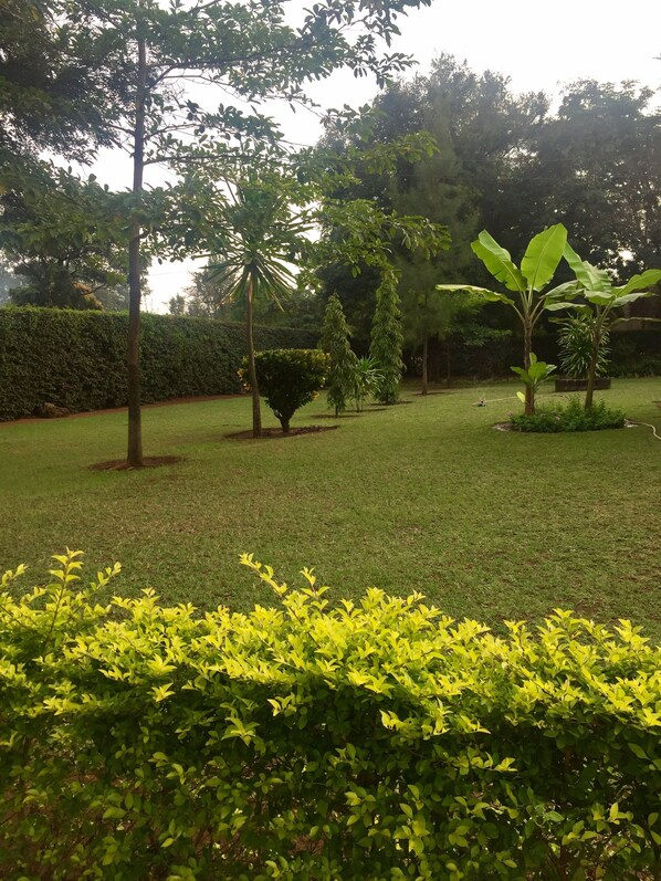 Exterior - Kilihomebase & Campsite - Hostel (Moshi)