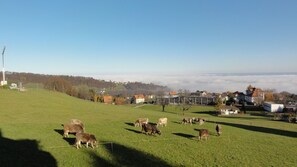 A rural landscape with grazing cows, a clear sky, and a village in the distance. - Hotel Park (Heiden)