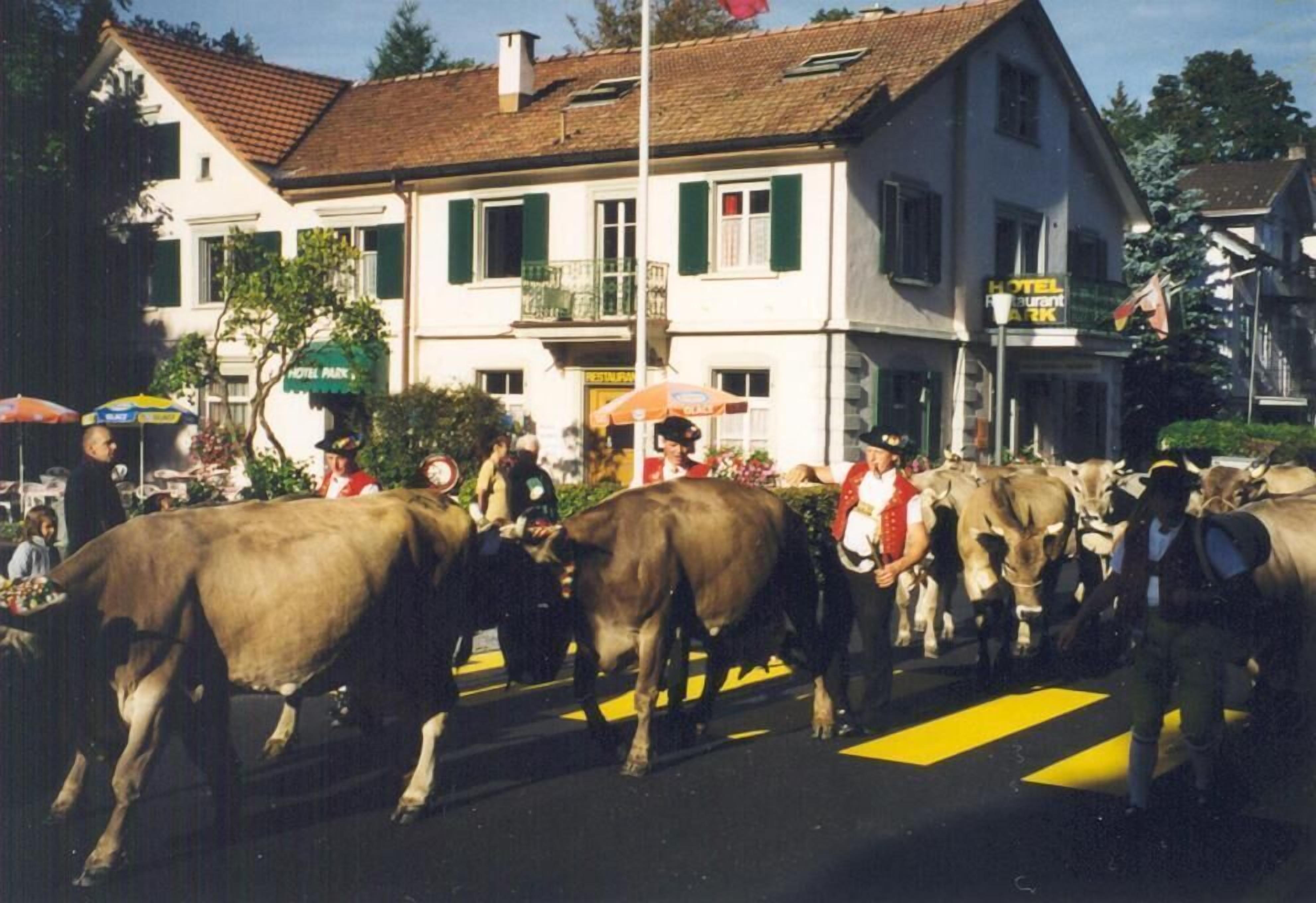 المنشأة من الخارج