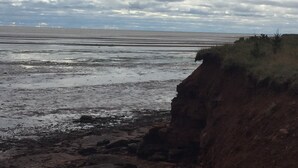 Una costa rocosa con un acantilado y una playa amplia y plana.