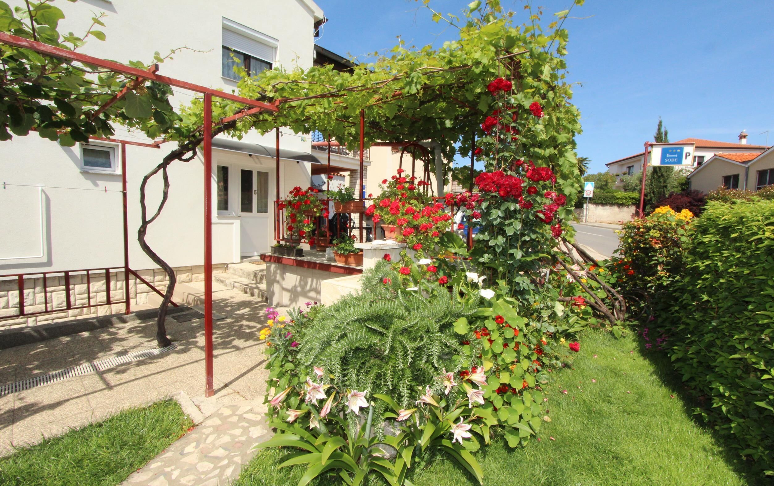 المنطقة المحيطة بالمنشأة