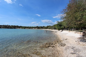 Ranta