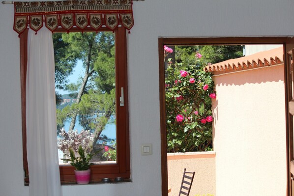Una ventana con cortina, una planta en maceta y vistas a árboles y un edificio.