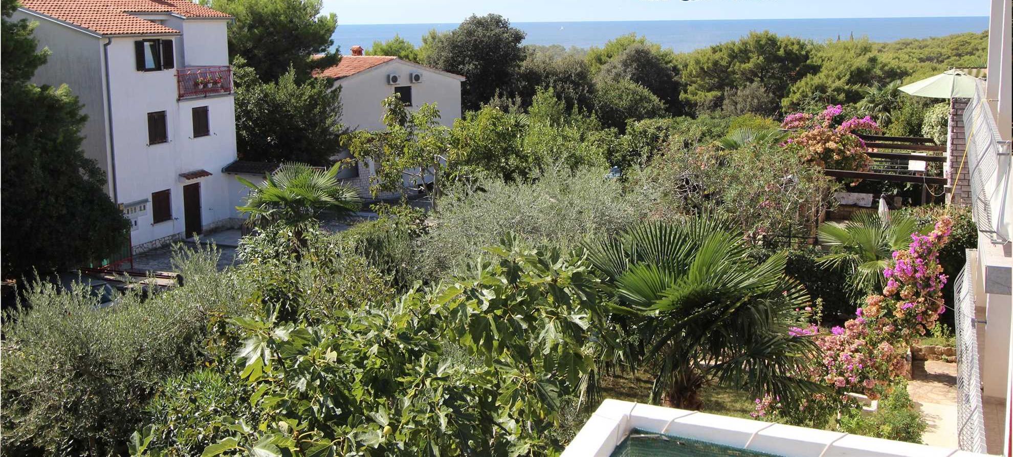 Un quartier résidentiel avec des maisons, de la verdure et une vue sur la mer.